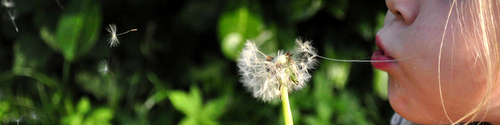 Kind mit Pusteblume ls
